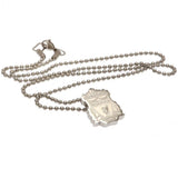 Liverpool F.C. Stainless Steel Pendant & Chain