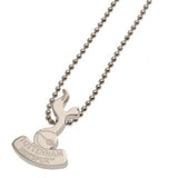 Tottenham Hotspur F.C. Stainless Steel Pendant & Chain