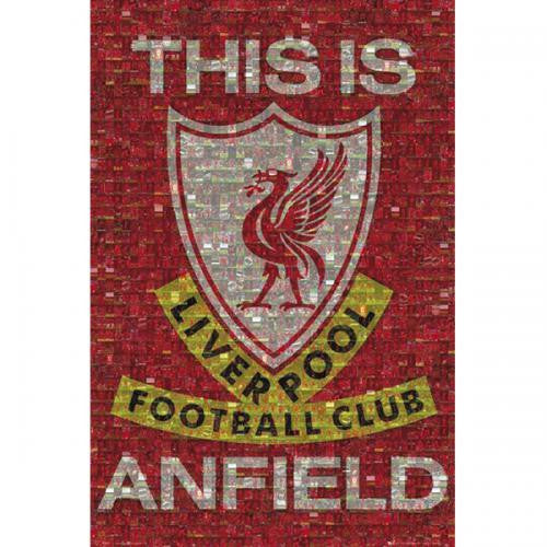 Liverpool F.C. Poster Mosaic 39