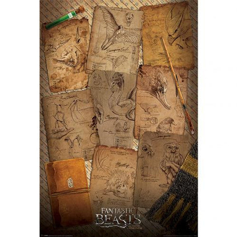 Fantastic Beasts Poster Notebook 280