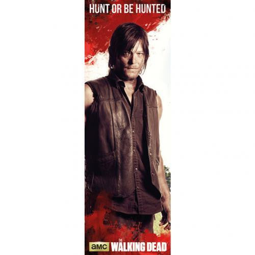 The Walking Dead Door Poster Daryl 315