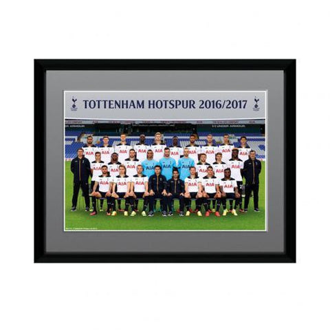 Tottenham Hotspur F.C. Picture Squad 8 x 6