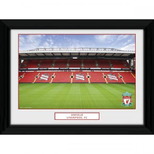 Liverpool F.C. Picture Anfield 16 x 12