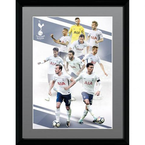 Tottenham Hotspur F.C. Picture Players 16 x 12