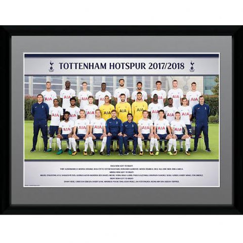 Tottenham Hotspur F.C. Picture Squad 16 x 12 17-18