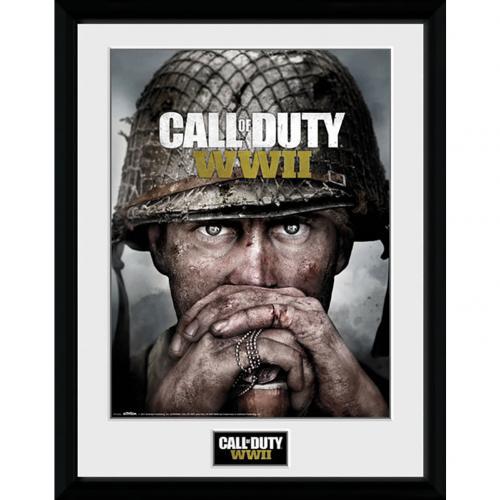 Call Of Duty WWII Picture 16 x 12