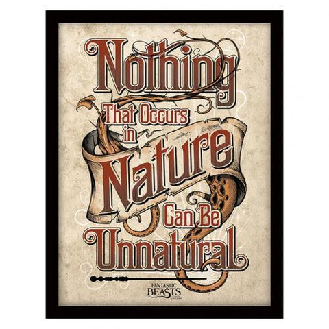 Fantastic Beasts Framed Print Nature 16 x 12