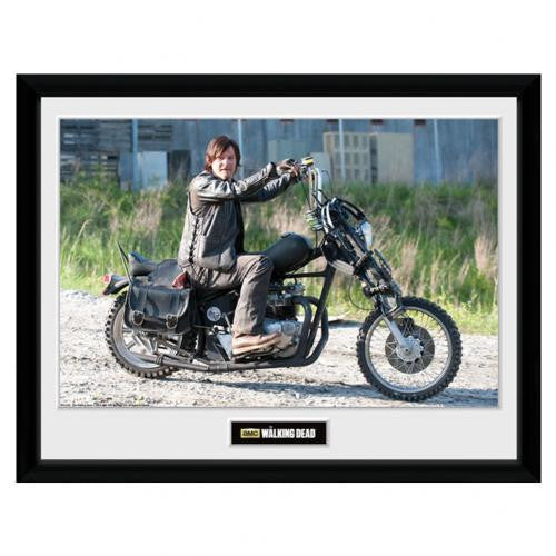 The Walking Dead Picture Daryl 16 x 12