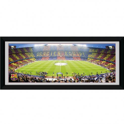 F.C. Barcelona Picture Nou Camp 30 x 12