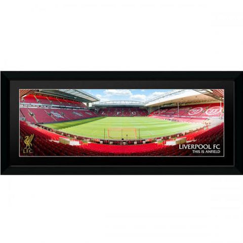 Liverpool F.C. Picture Anfield 30 x 12