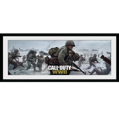 Call Of Duty WWII Picture 30 x 12