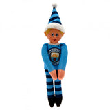 Manchester City F.C. Team Elf