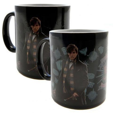 Fantastic Beasts Heat Changing Mug